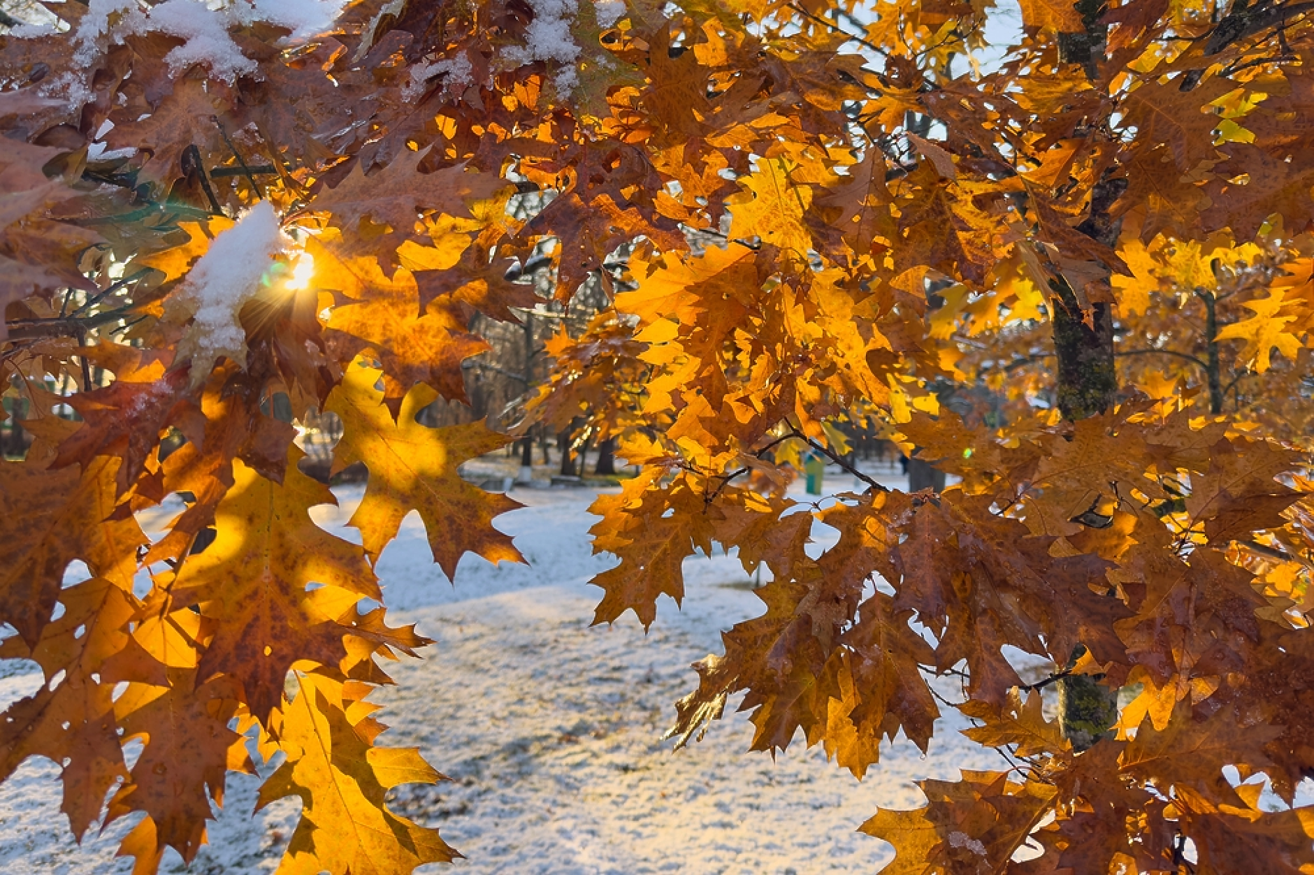 Слънчево време във вторник, от сряда - пак валежи