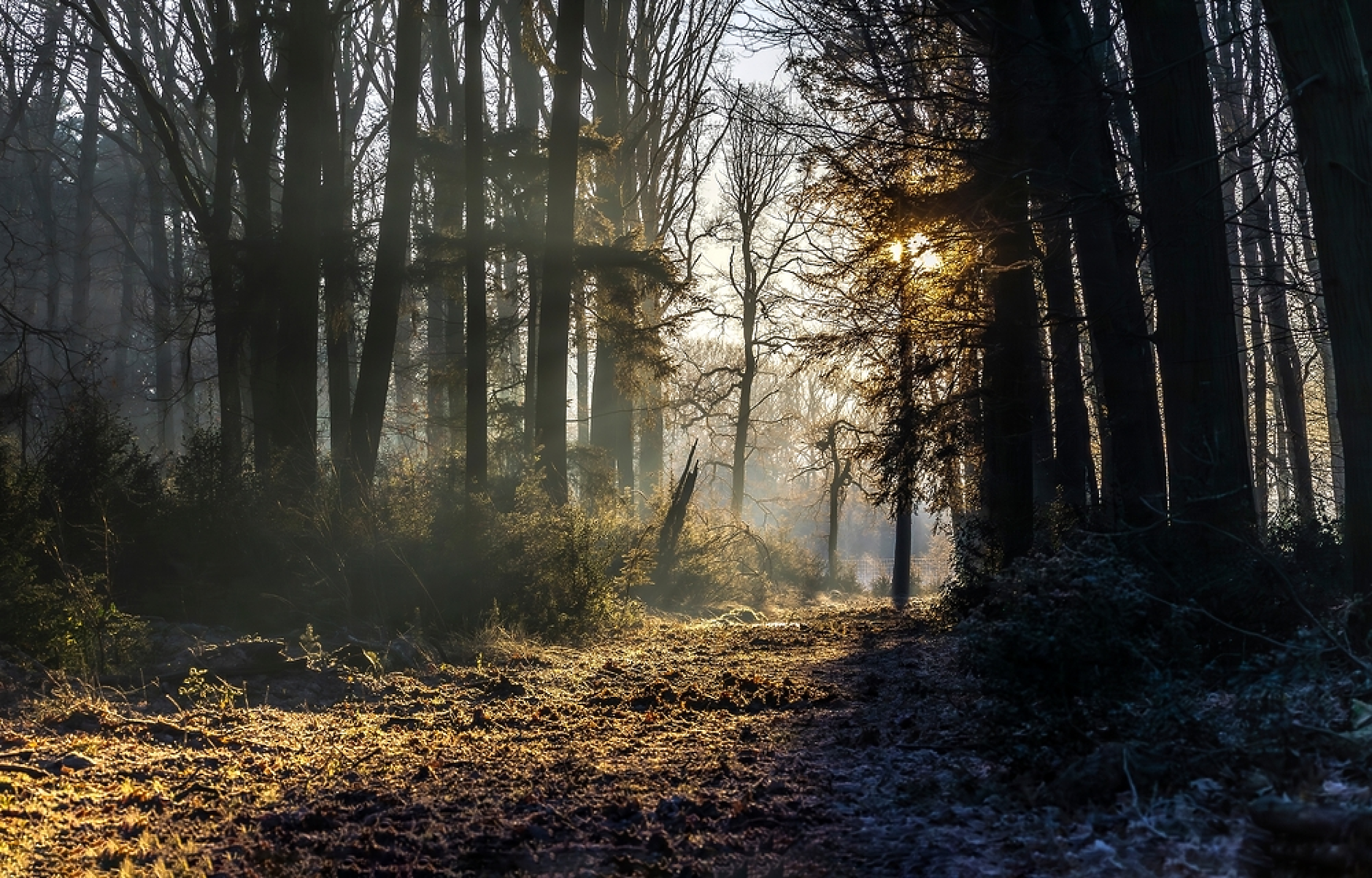 Времето в сряда: Вятърът отслабва, на места ще има мъгли