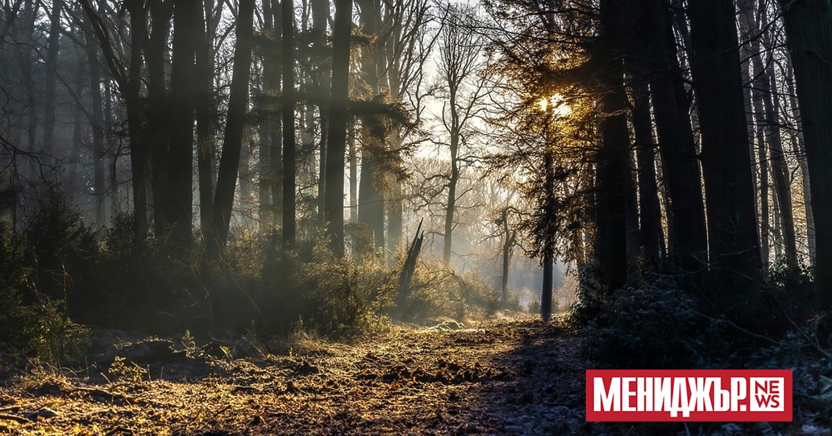 В сряда (10 декември) над страната ще има разкъсана висока