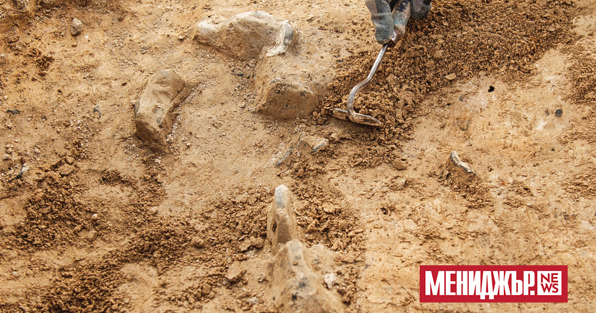 a { text-decoration: none; color: #464feb; } tr th, tr