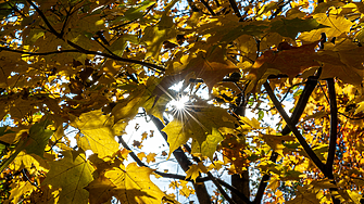 Времето във вторник: Слънчево, но хладно