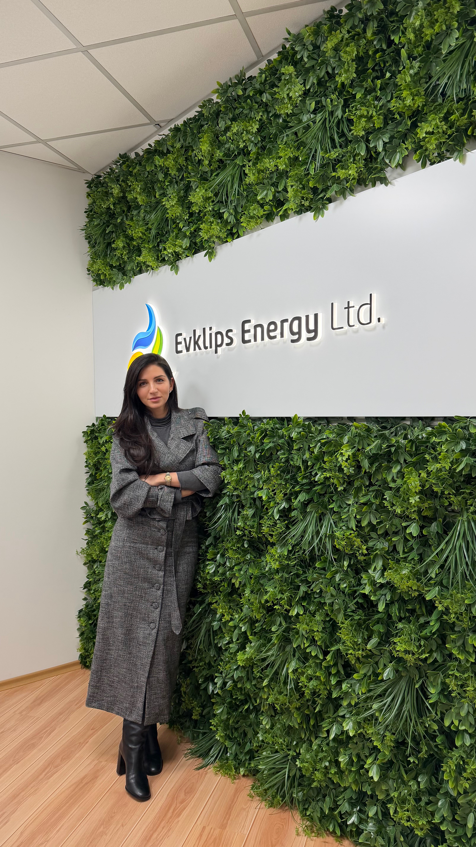 Соларната трансформация на Европа