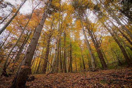 Времето в петък: Облачно в котловините, слънчево в планините