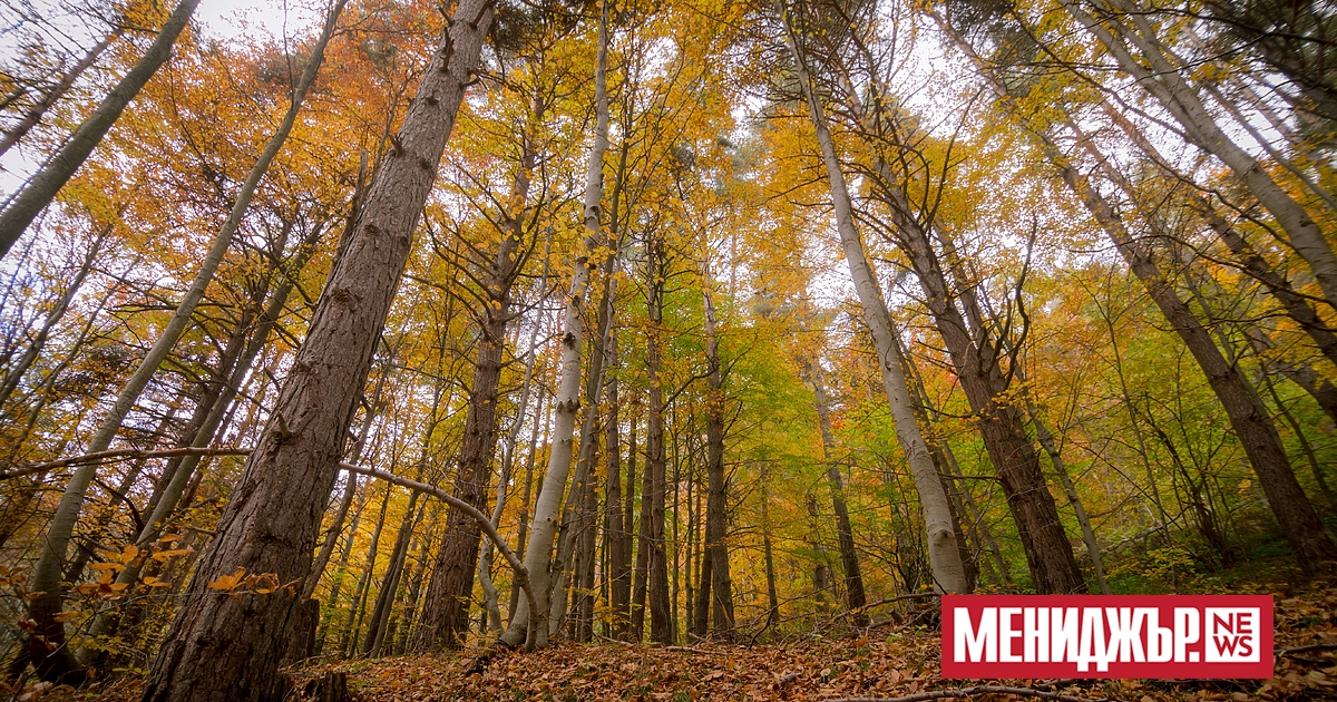 В петък през по-голямата част от деня в равнините и