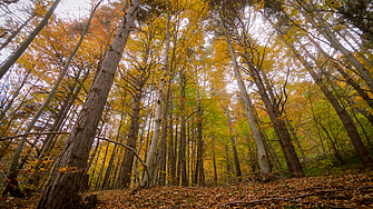 Времето в петък: Облачно в котловините, слънчево в планините
