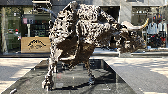 Кой е най добрият финансист сред студентите ще стане ясно