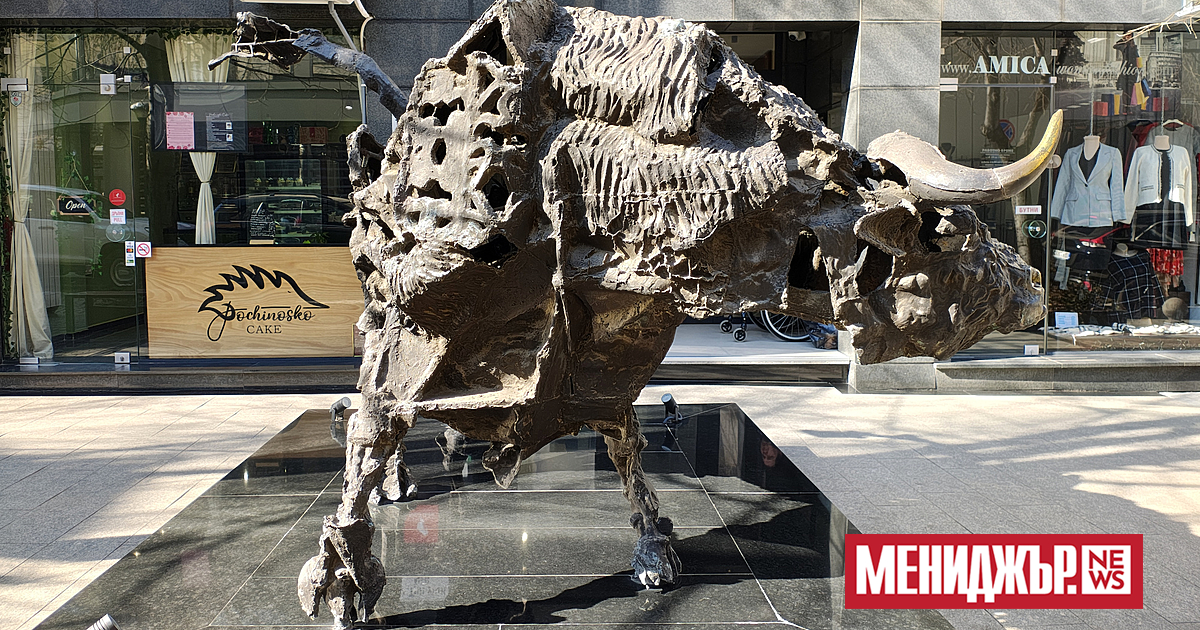 Кой е най-добрият финансист сред студентите ще стане ясно на