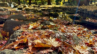 В четвъртък на много места в равнините и низините все