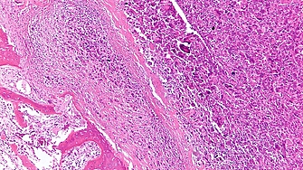 a text decoration none color 464feb tr th tr td