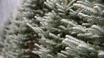 Времето в четвъртък 25 декември  ще бъде облачно и с