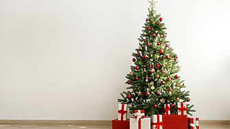 От черни в Сърбия до гигантски елхи в България: Коледните тенденции на 12 държави