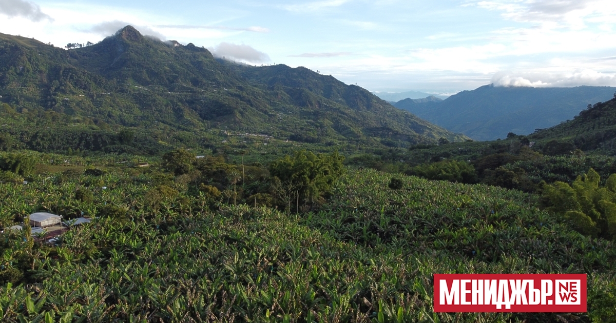 Колумбия ще използва дронове, за да възобнови пръскането на реколтата