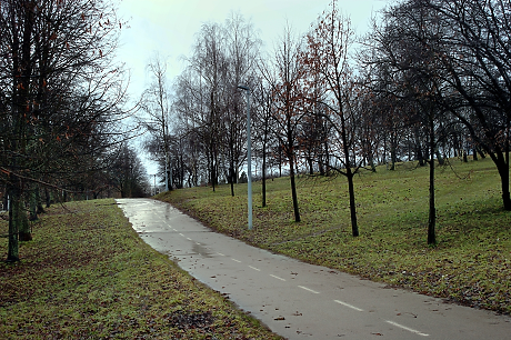 Времето: Облачно, като на места ще има валежи от дъжд
