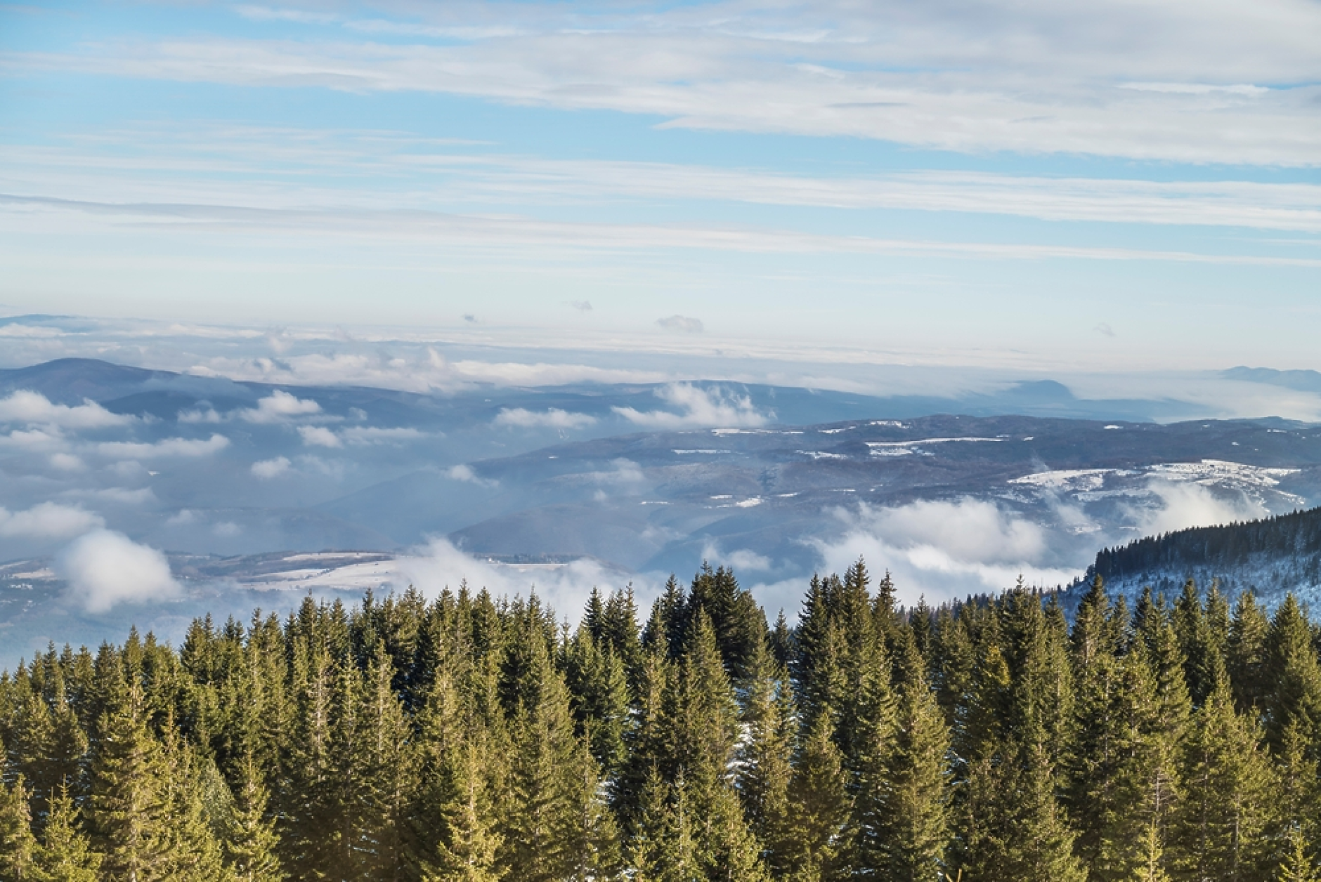 Затвориха пътищата към Витоша заради силния вятър
