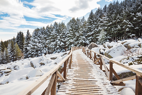 Столична община: Планът за управление на природен парк „Витоша" се нуждае от преработване