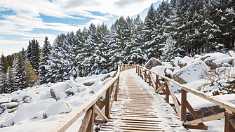 Столична община: Планът за управление на природен парк „Витоша