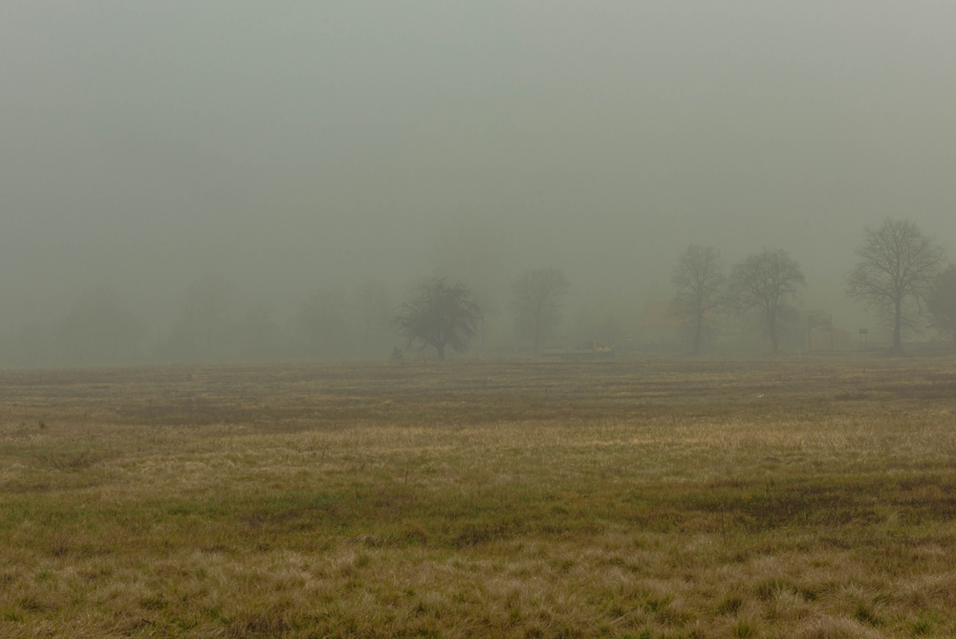 Времето: Облачно и мъгливо