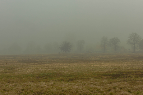Времето: Облачно и мъгливо