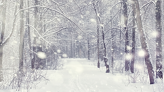 Преспи сняг затрупаха Румъния, Босна и Херцеговина и части от Турция