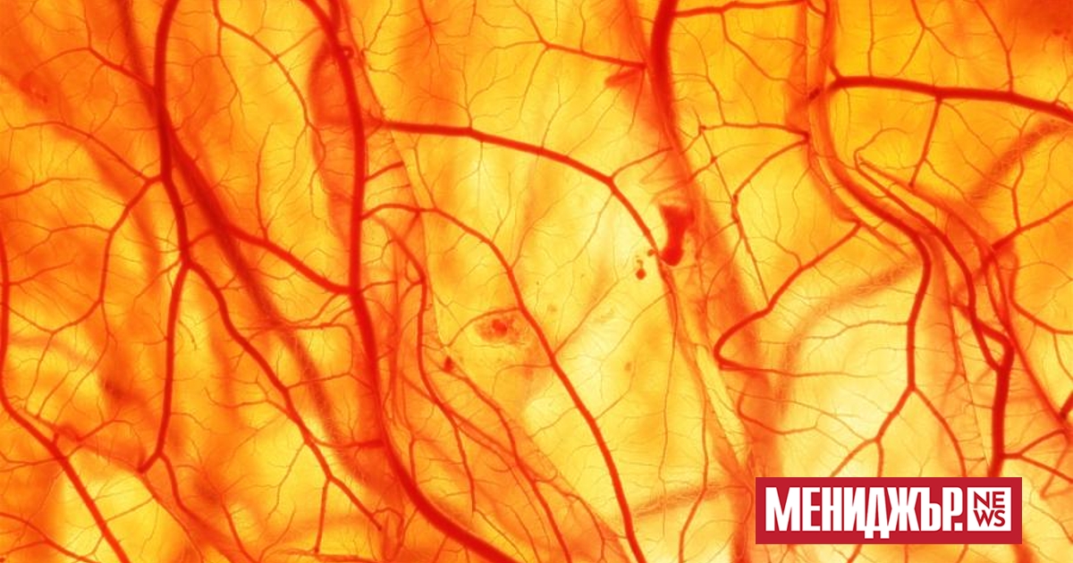 Изследователи от Университета в Сидни са разработили нова техника за