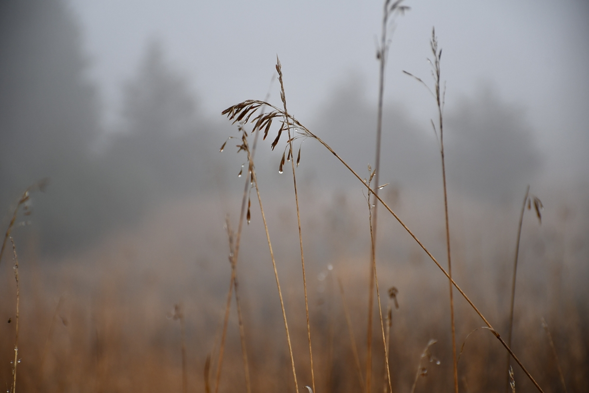 Времето: Днес ще бъде предимно облачно