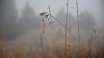 Днес ще бъде предимно облачно и на много места през