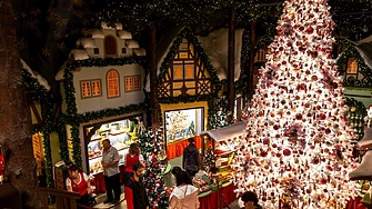 Коледните продажби тази година в Германия са по слаби от