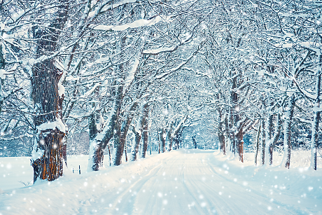Сняг и заледени пътища затрудниха движението в Северозападна България