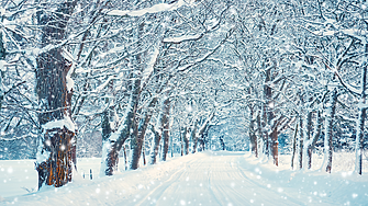 Сняг и заледени пътища затрудниха движението в Северозападна България