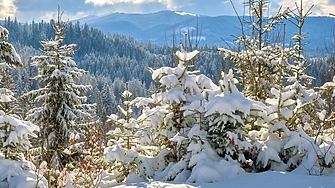 В събота 27 декември ще преобладава слънчево време над източните