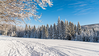 Времето: Изпращаме 2025 година със слънце, вятър и минусови температури