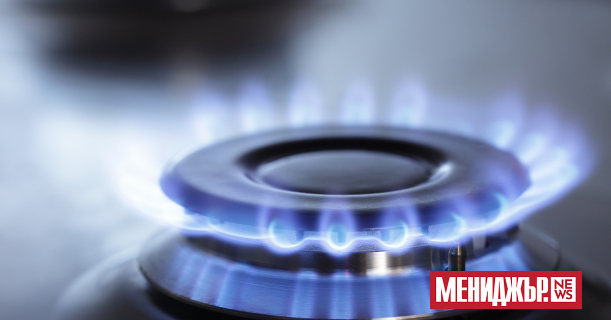 Булгаргаз поиска поскъпване на природния газ с 7,5% за февруари