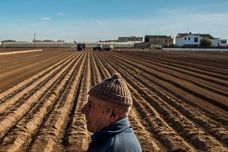 Нови поколения в селското стопанство: Испания дава 17 000 имота на млади фермери
