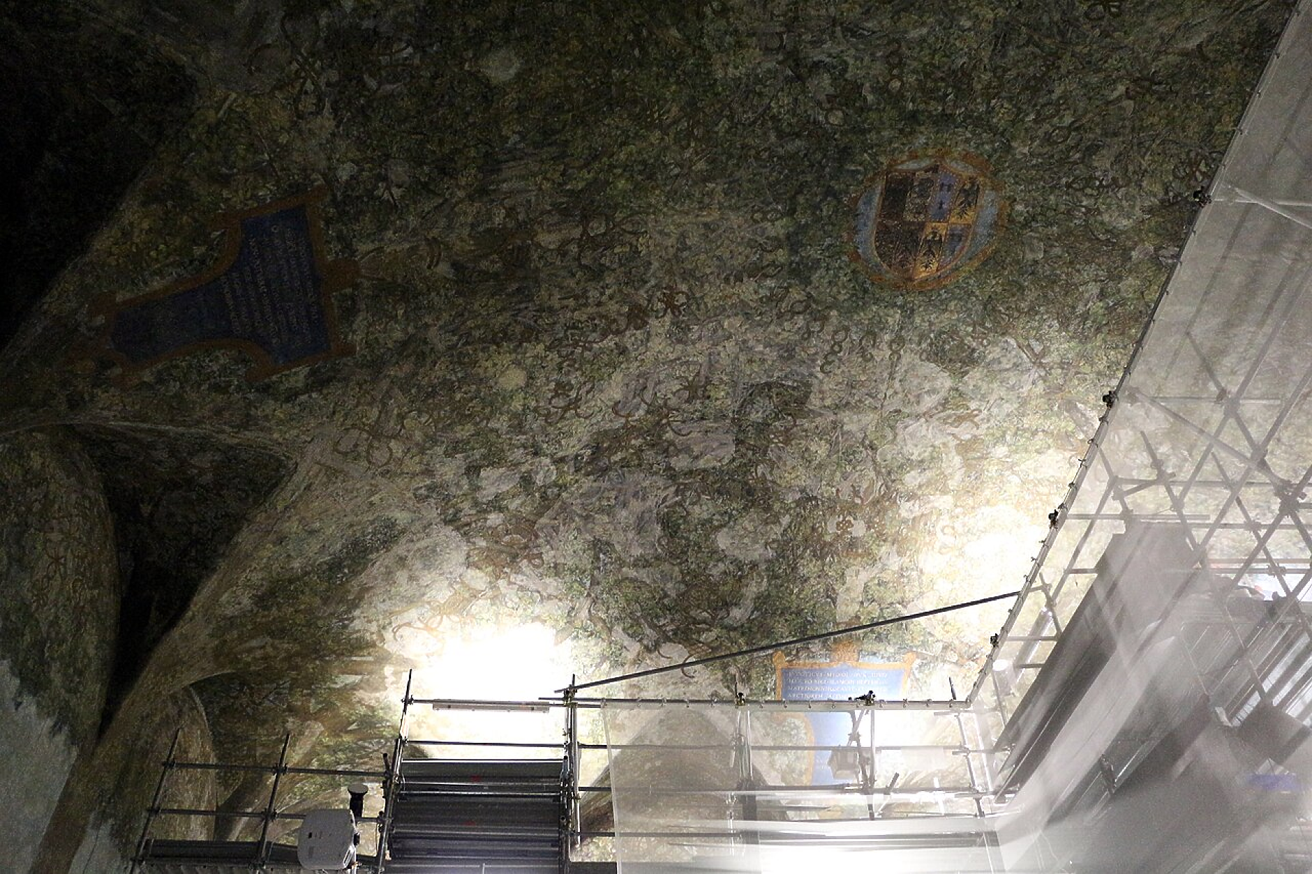 Милано разкрива непоказвана от десетилетия картина на Леонардо