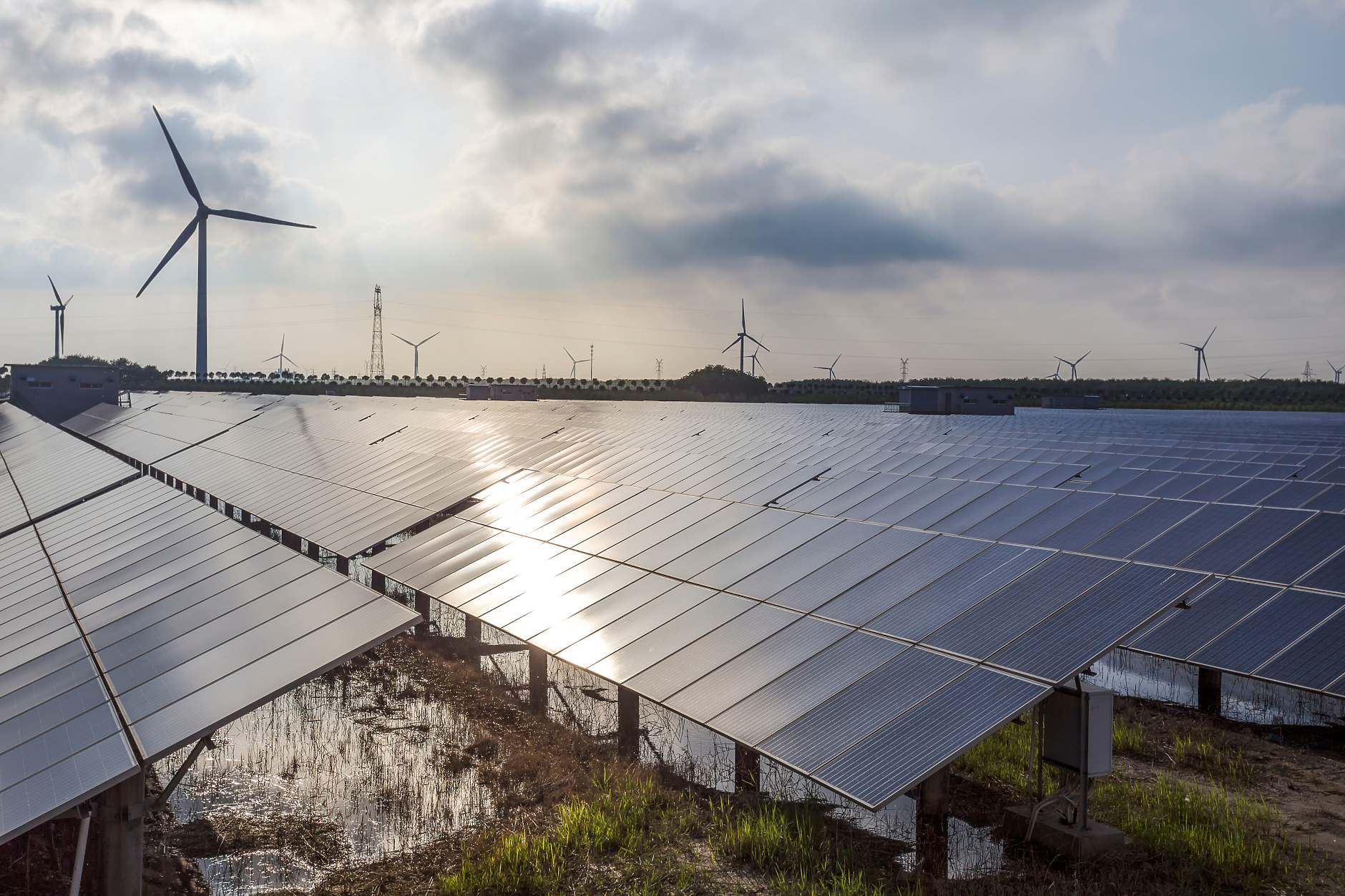 За първи път в историята: Европа генерира повече слънчева и вятърна енергия, отколкото от изкопаеми горива