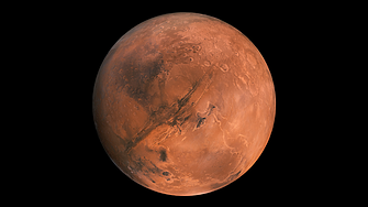 Бела Хадид с дебют в киното