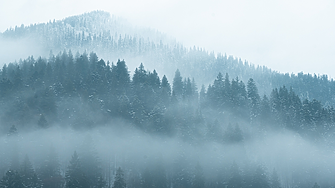 362 са новите случаи на COVID-19 у нас