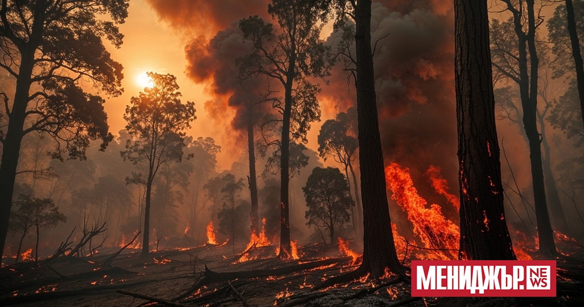 a { text-decoration: none; color: #464feb; } tr th, tr