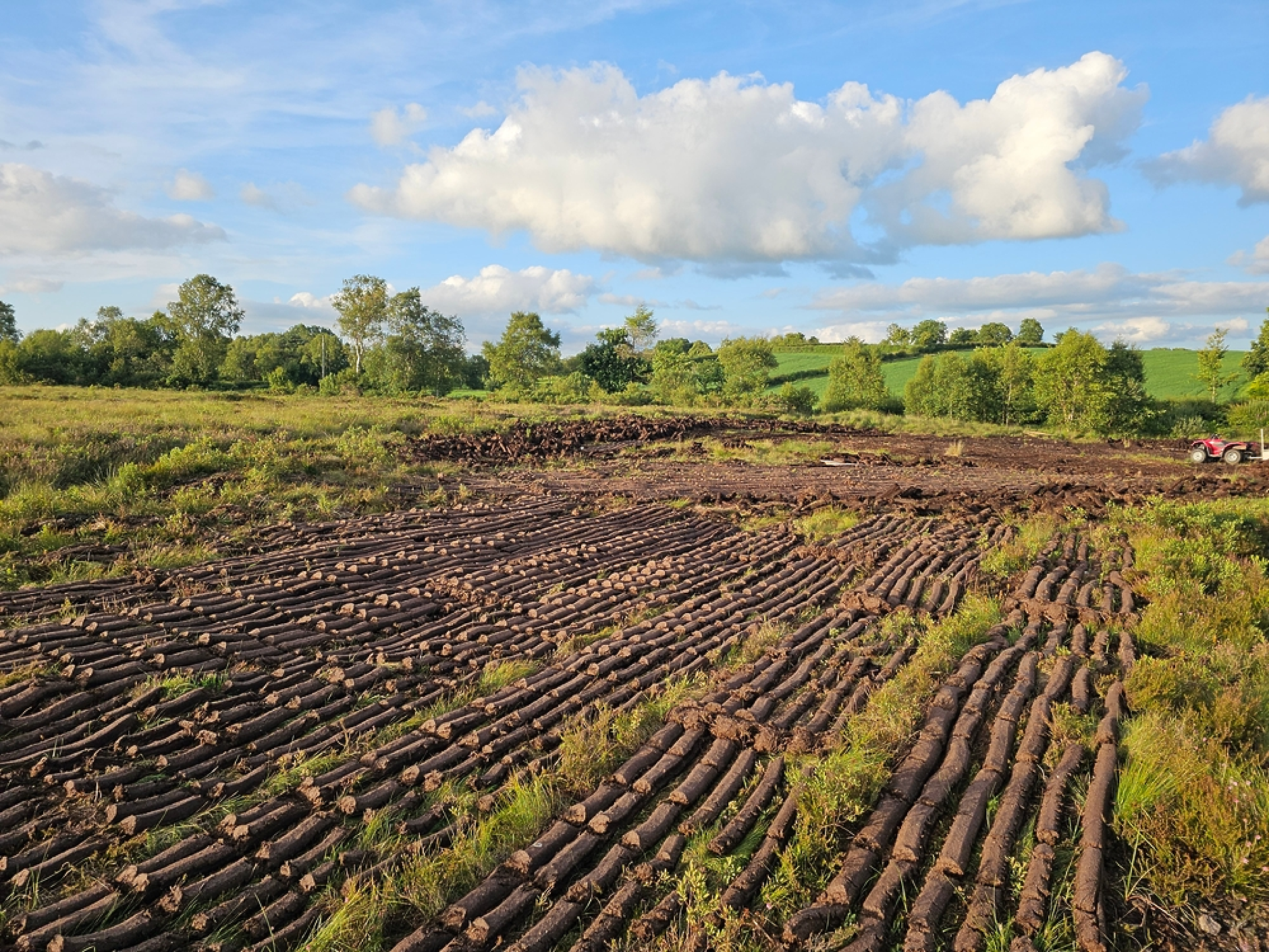 Бизнес перспективи: Ирландия превръща торфените земи в зелена икономика
