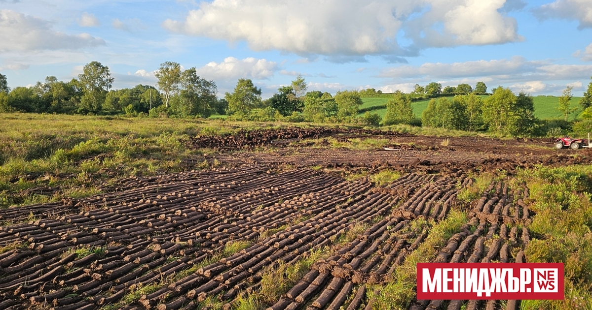 Ирландските Мидландс е регион, белязан от противоречия. Географски, това е