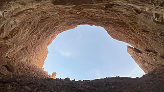 Мумифицирани гепарди в саудитска пещера разкриват тайни за изчезнали популации