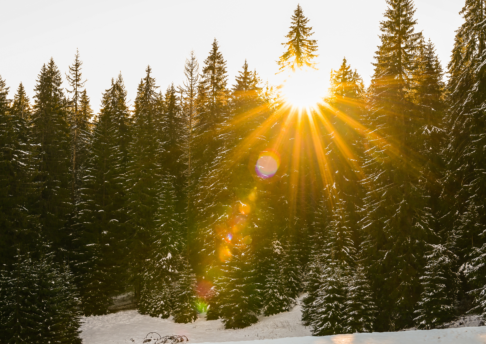 Времето във вторник: Вятърът отслабва, температурите се покачват