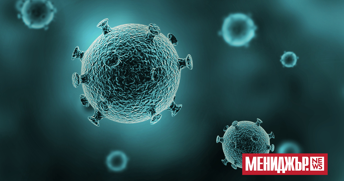 a { text-decoration: none; color: #464feb; } tr th, tr