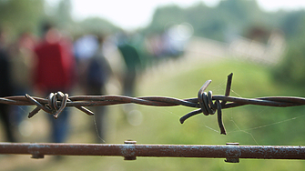 Броят на молбите за убежище регистрирани от властите в страните