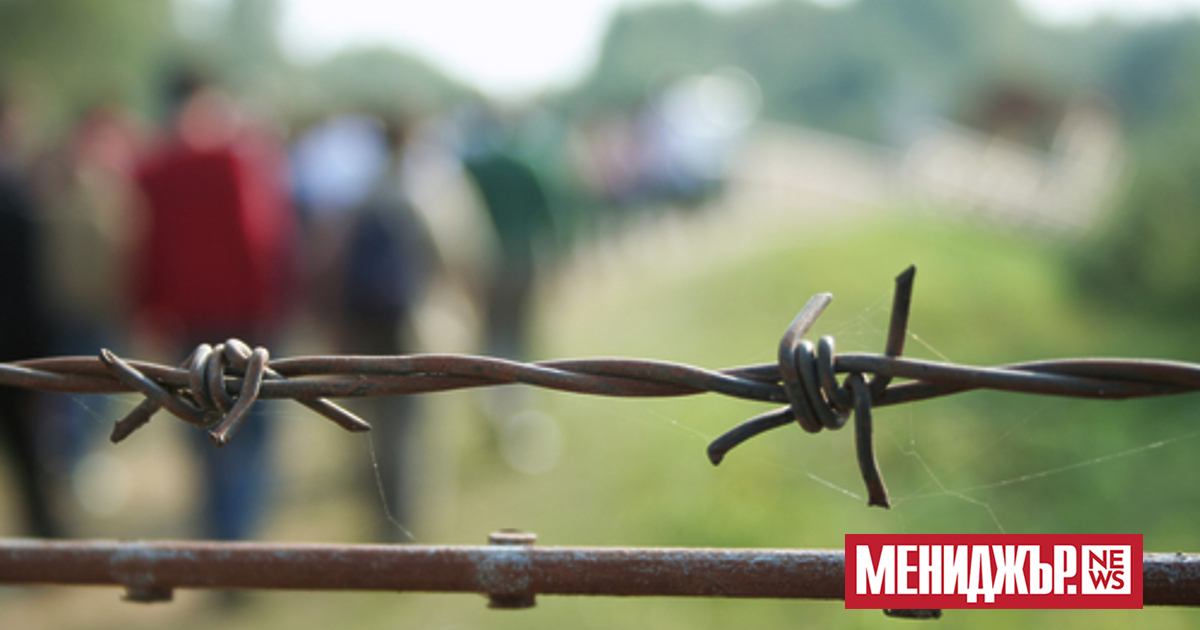 Броят на молбите за убежище, регистрирани от властите в страните