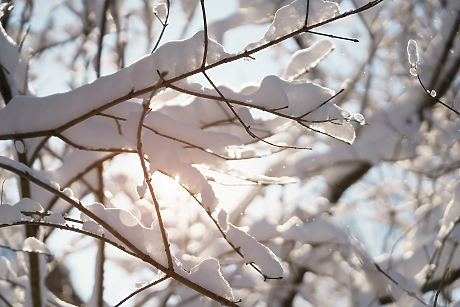 Времето: Снежни виелици и навявания в цялата страна