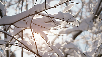 Румен Радев за пожарите: Време е за действия, а не за анализи и доклади