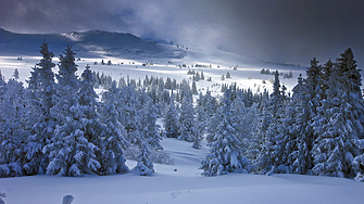 В последния ден на месец януари облачността ще се увеличава и