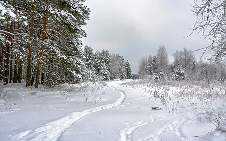 Времето: От запад облачността ще се увеличи