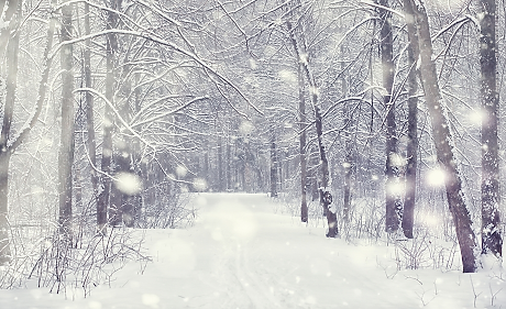 Времето: От югозапад ще започнат валежи от сняг